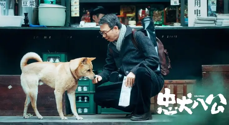 在国外地区限制怎么办评价